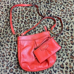 Coach Ashley Hippie Crossbody Leather Shoulder Bag and Wallet Set